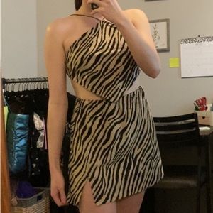 Brown Zebra Print set